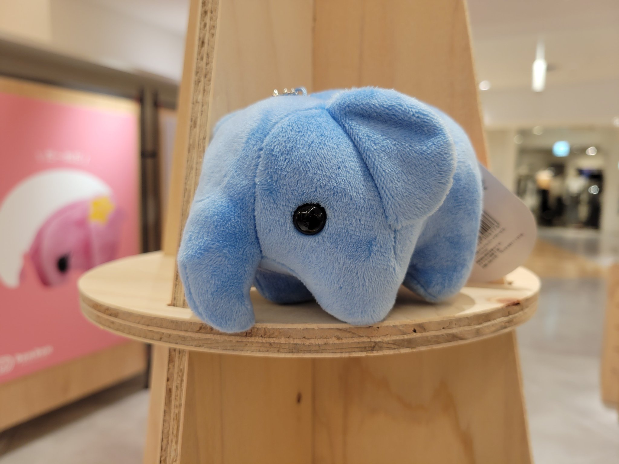 トムエバハート　mon Ami アルン🐘 on X: 