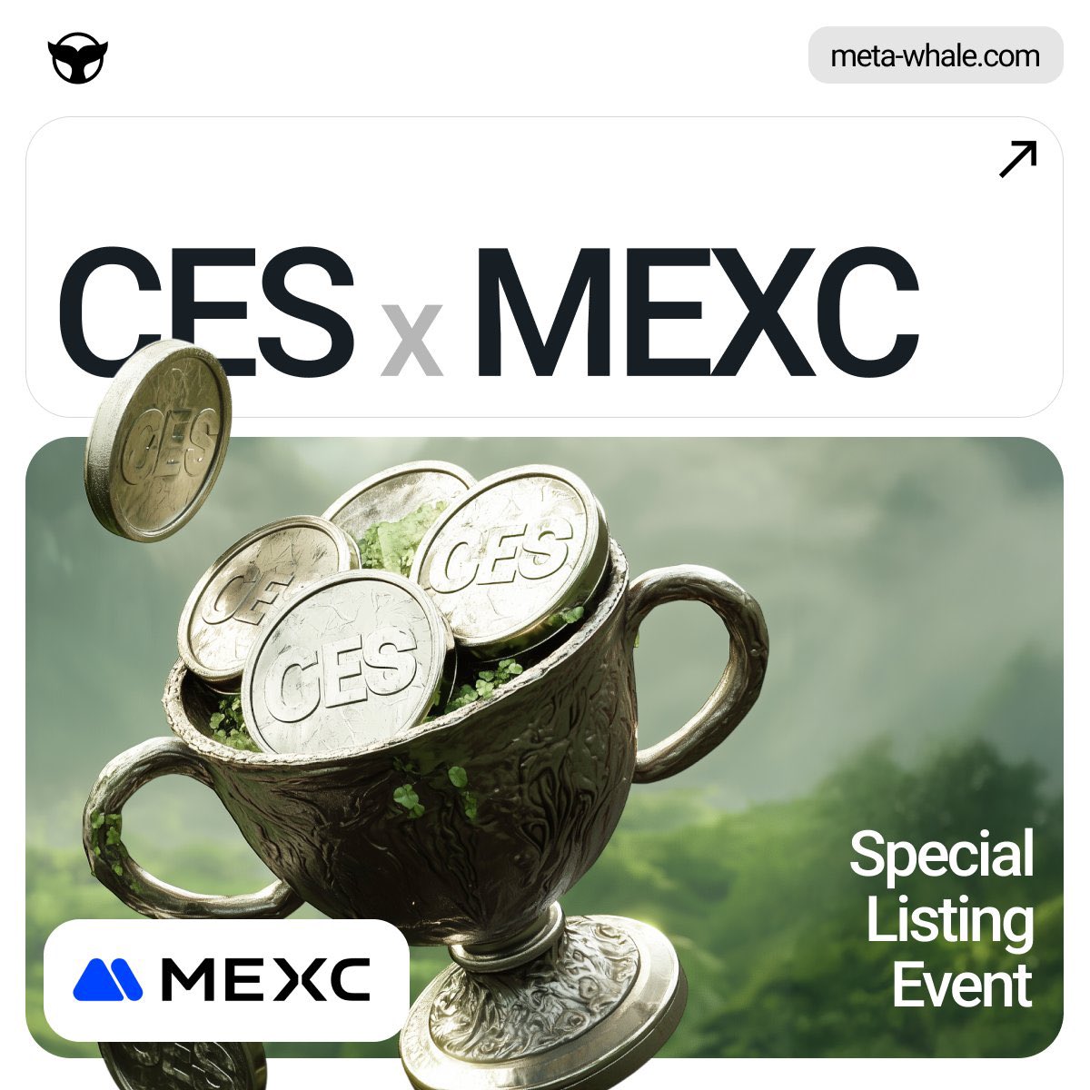 2025年9月29日21点，这是一个值得庆祝的伟大时刻！抹茶见！#MetaWhale #Holiverse #CES #MEXC