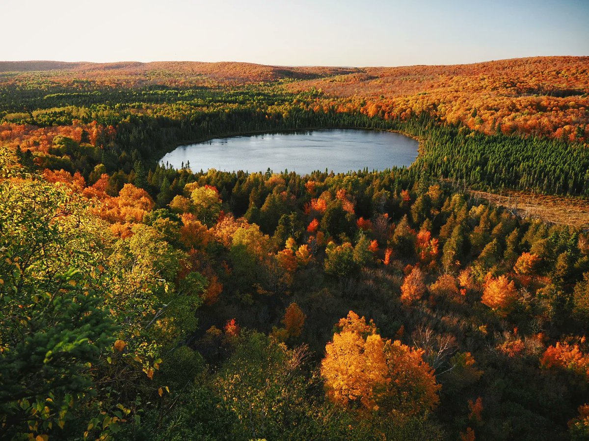 Trevor Keller tweet media