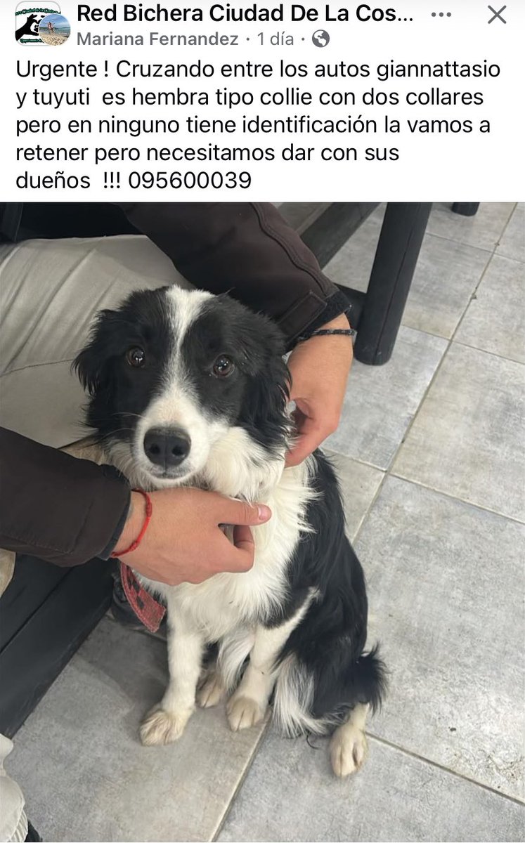 Adriana (@adriana43587622) on Twitter photo 