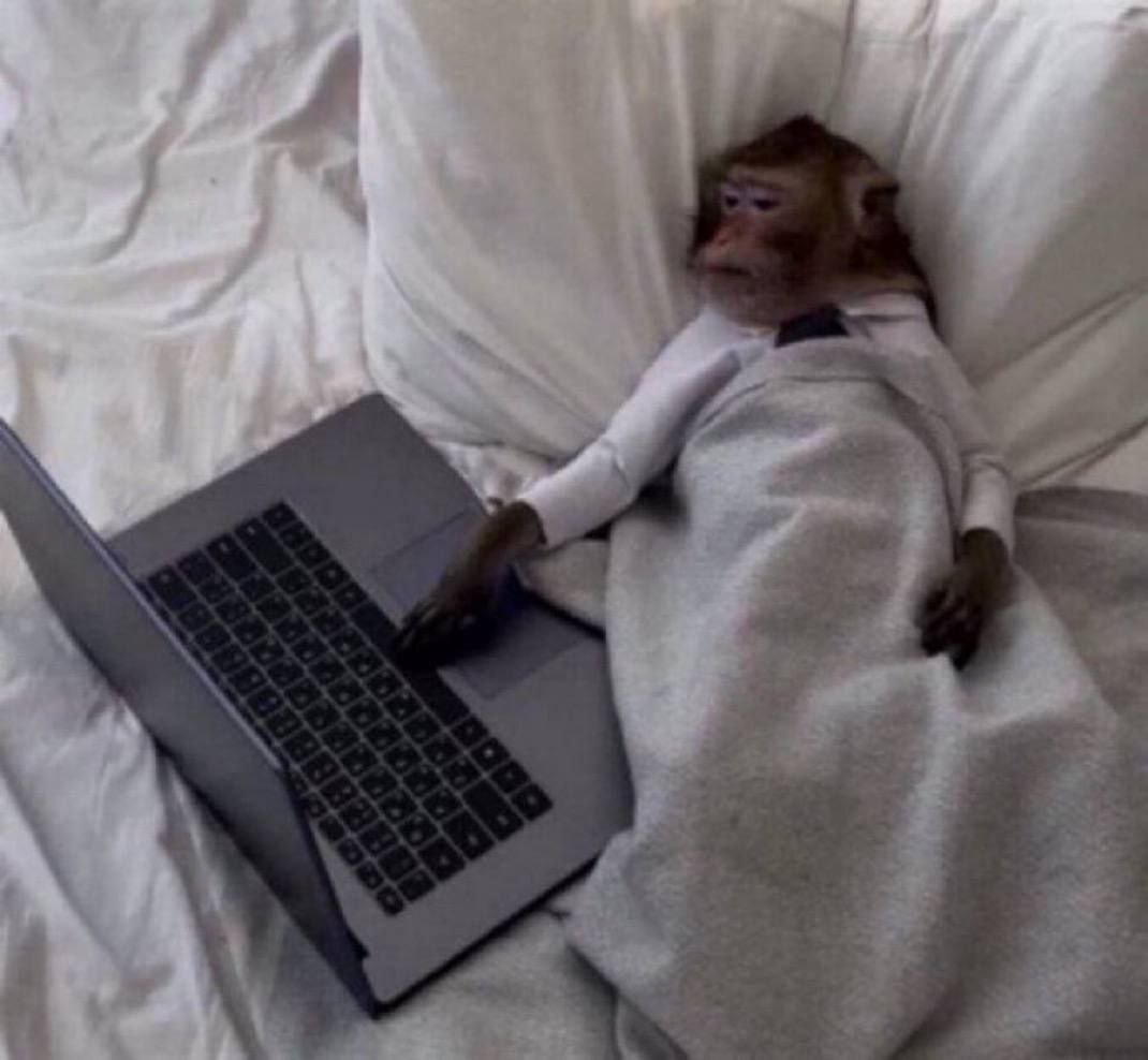 bloodweb3's tweet image. Me at 2am checking my portfolio to see if I&apos;m already rich or still pre-rich.