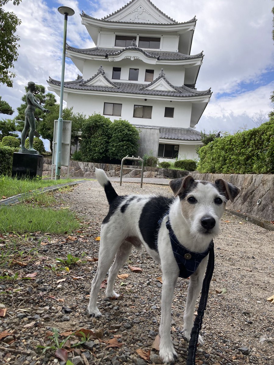チョコちゃん様♥️ジャックラッセルテリア  日本昔ばなしオブジェ♡ チョコちゃん様♥️ジャックラッセルテリア 日本昔ばなしオブジェ♡