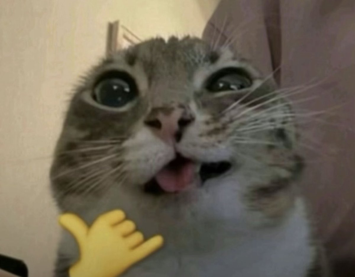 hoesiahhh's tweet image. now next #rachelforafp and the season is saved