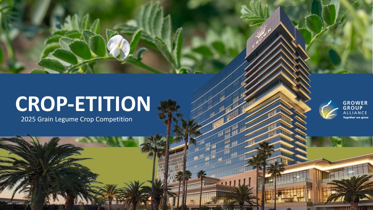 Calling all WA grain legume growers - this is your last chance to join <a href="/GGA_WA/">Grower Group Alliance</a>’s #Cropetition and showcase your pulse power 💪 
5x crop categories -  chickpeas, lentils, faba beans, lupins and field peas. 
50ha min paddock 
5x $2,000 <a href="/CrownPerth/">Crown Perth</a> gift card prizes! 
➡️ Closes 30