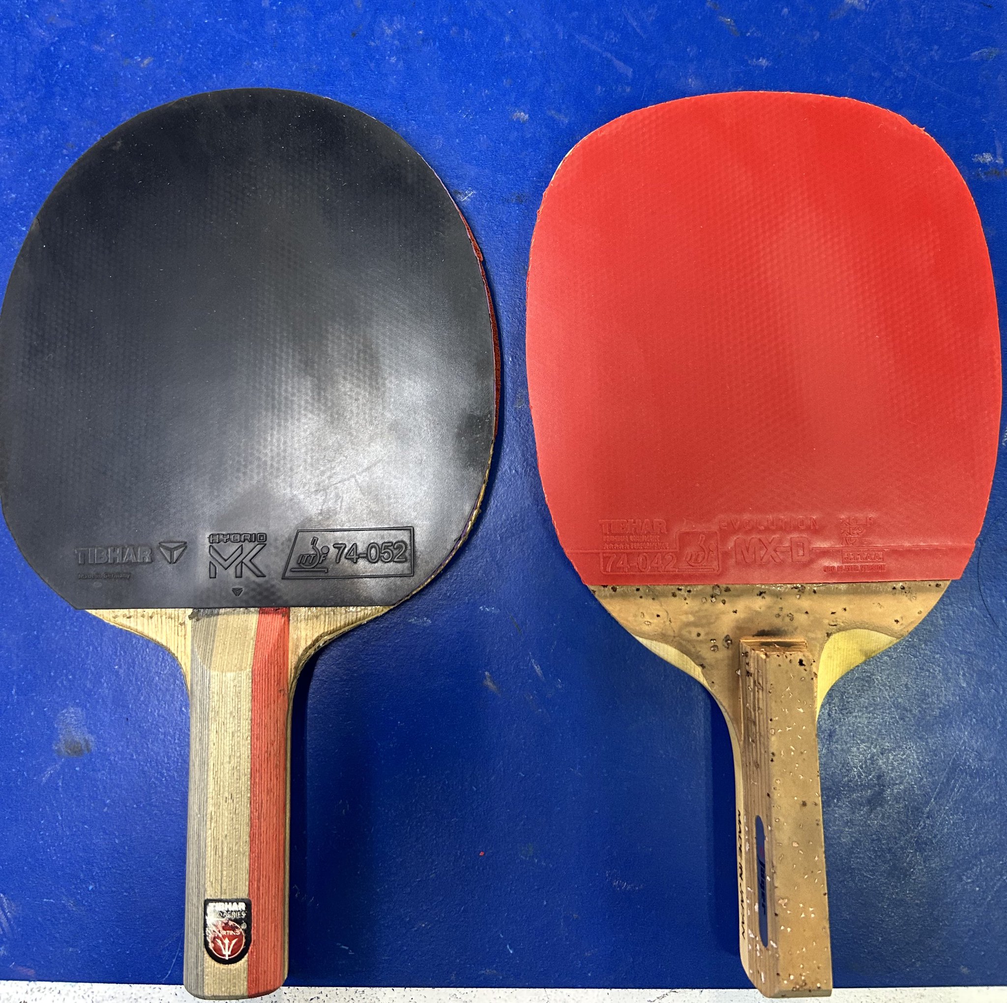 チャンピオンスポーツ教室　卓球教室１週間 294561945_1197621277727568_144