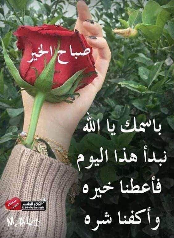 اللهُم اجعله صباحا يحتوي لطفك الخفي، ويوم خفيف مريح مليء بالفرح والخير الدائم لنا🤎
صباح الأنوار والمسرات 🌹🌺
