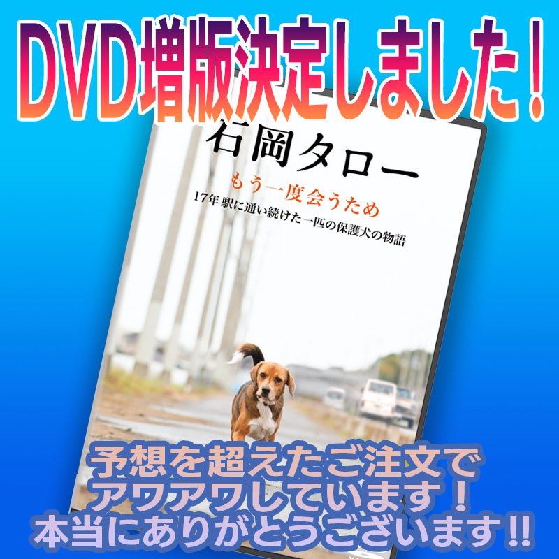 ishiokataro's tweet image. ありがたい事に予想を超えた売上で急遽増版を決定しました。これでお待たせする事なくお届けできます。
引き続きよろしくお願いいたします！
#石岡タロー 
#保護犬 
#犬映画
#旧車
#昭和レトロ