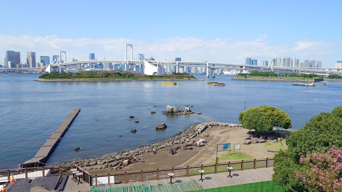 ScuderiaSamurai's tweet photo. エキタグのイベントを完了。
外に出るにはいい理由だし暑さも落ち着いてきてこれから益々外出日和かな。 https://t.co/HcyXyaIDTW