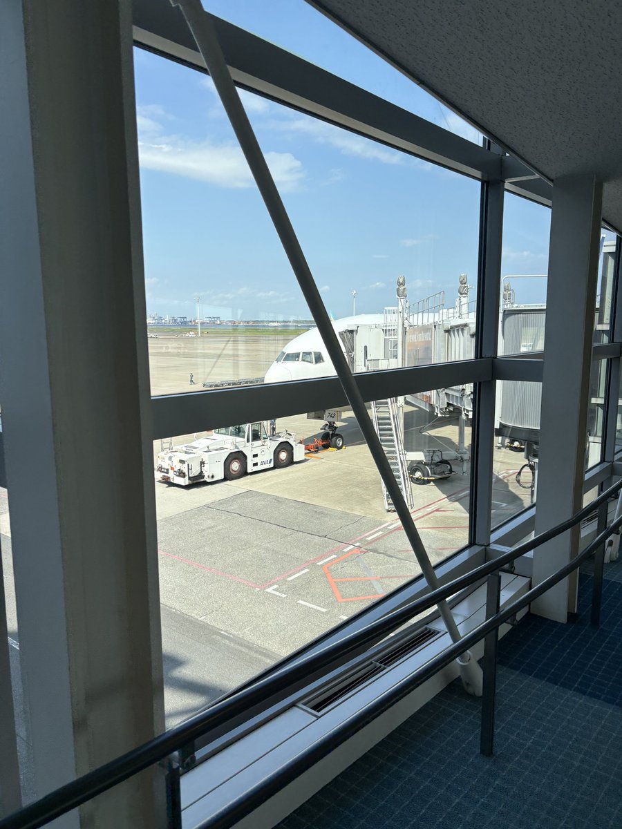 今回は東京観光する暇もなし