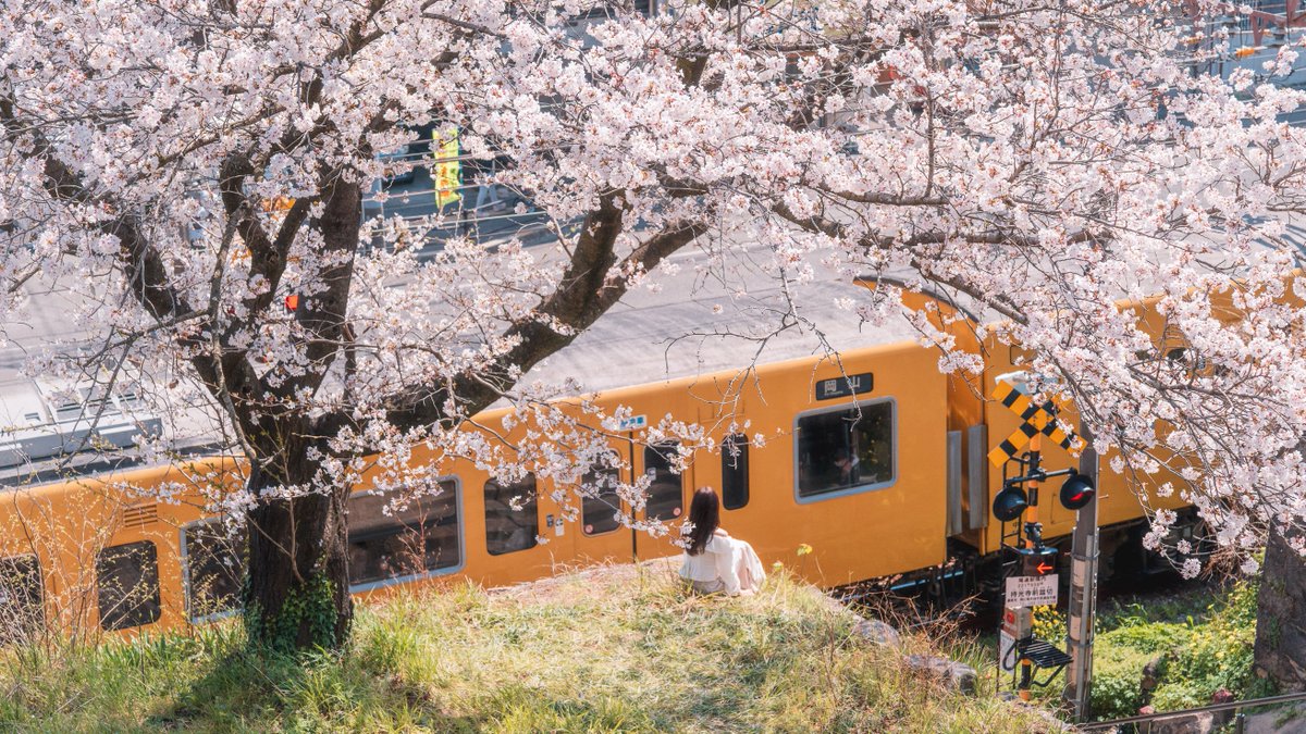 记忆碎片。

2025/04/07 13:05:33 JST
34°24'23.8"N 133°11'46.5"E