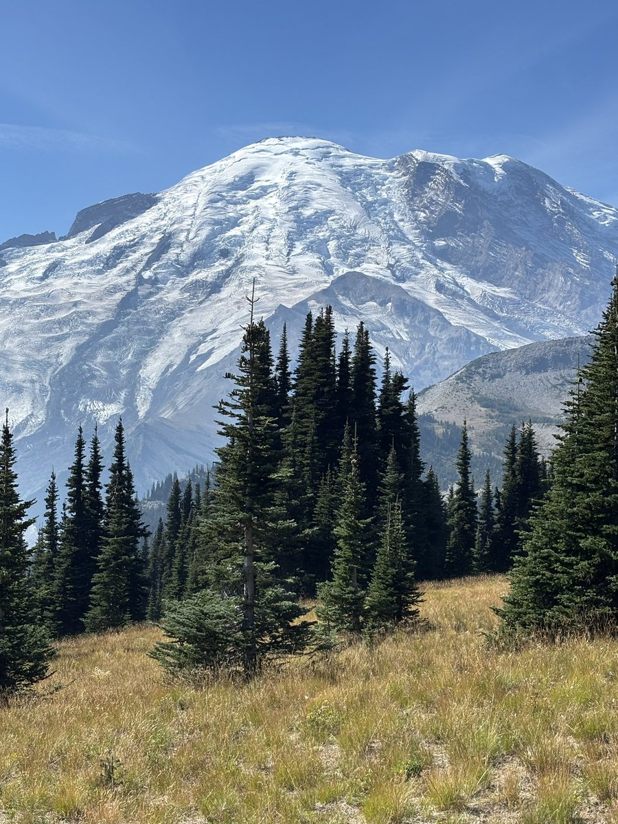 фасоль tweet media