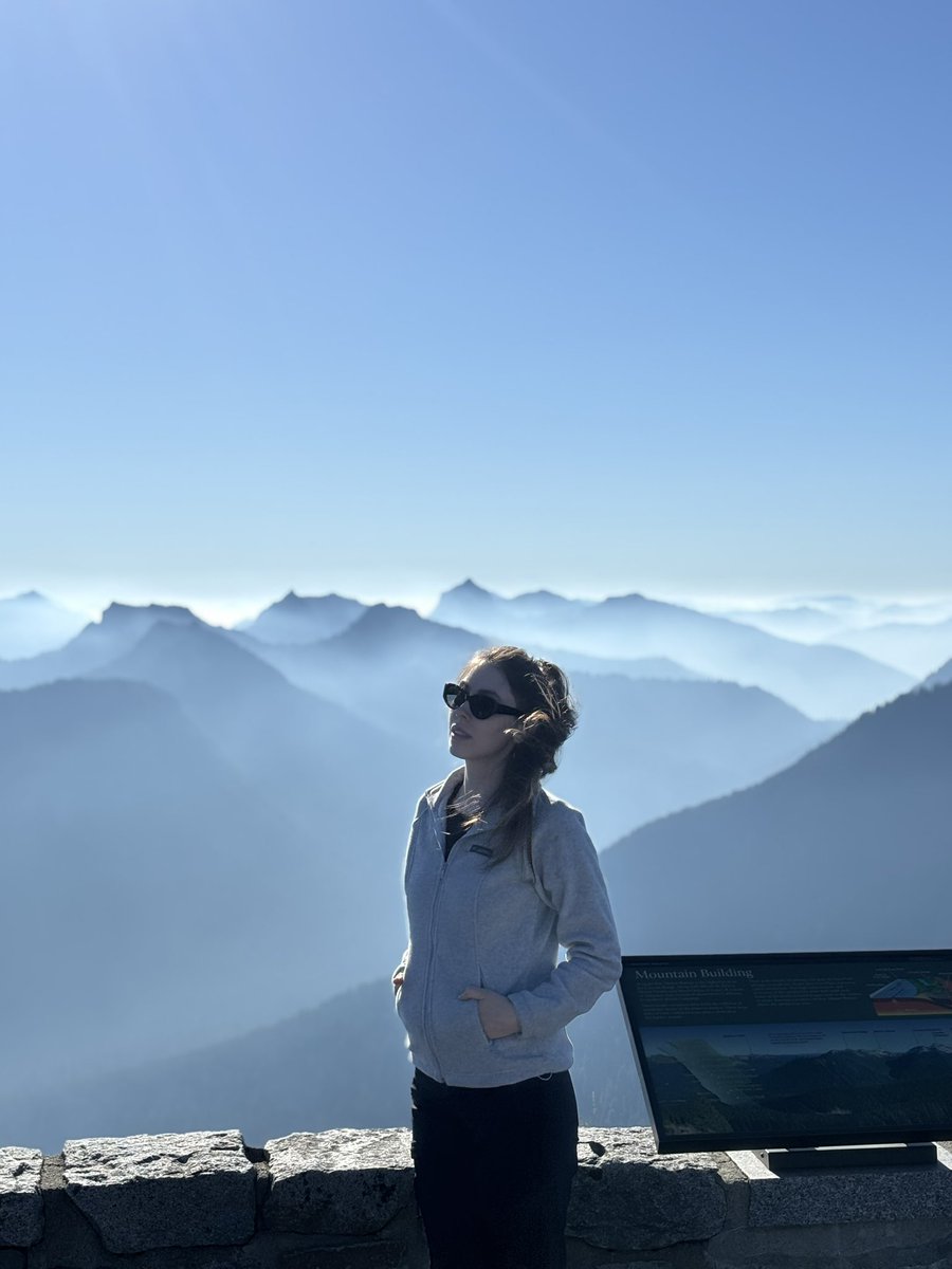 фасоль tweet media