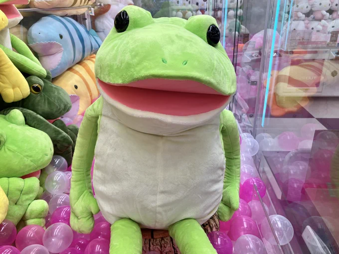 : 