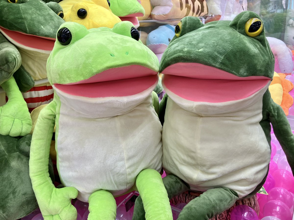 おとぼけケロピョン 超超ウルトラBIG 大人が隠れちゃうくらい大きい🐸