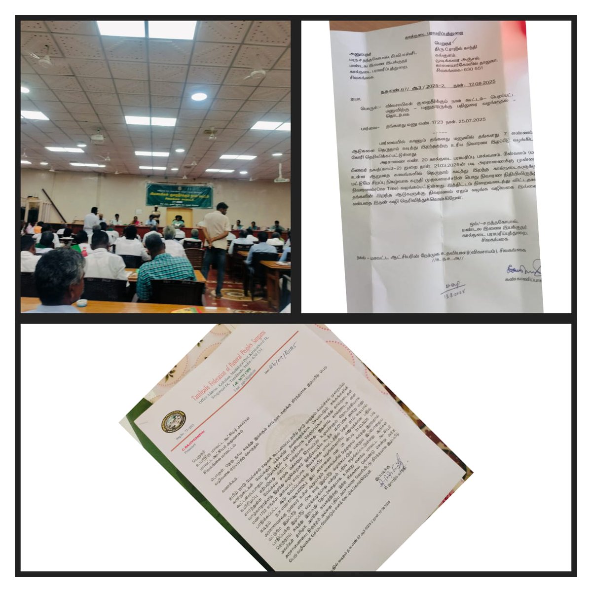 TFPPS_Official's tweet photo. (26-09-2025)  சிவகங்கை மாவ��்ட ஆட்சியர் அலுவலகத்தில் தெருநாய் கடித்து இறக்கும் ஆடுகளுக்கு   நிரந்தரமாக இழப்பீடு வழங்க தமிழக அரசை வலியுறுத்துக்கோரி மனு.

தமிழக அரசு கடந்த 23-03-2025 அன்று வெளியிட்ட அரசாணை எண்:20 அந்த தேதிக்கு முந்தைய   ஆறு மாத கால இழப்பீடுகளுக்கு https://t.co/sQyJfZ67a1