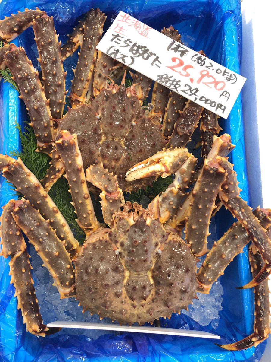 新品　美品　  spindleshanks crab カニ かにの旬を知ろう | かに通販案内ならココ！かにcrab