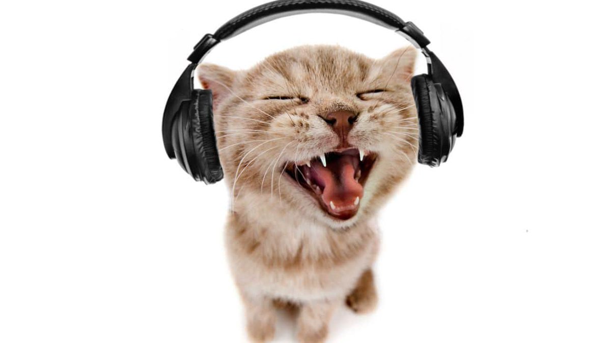 CeaserSaled tapped the glass tweet media