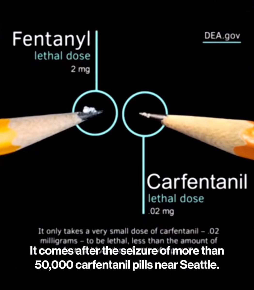 Cleanuponkyle4 tweet media