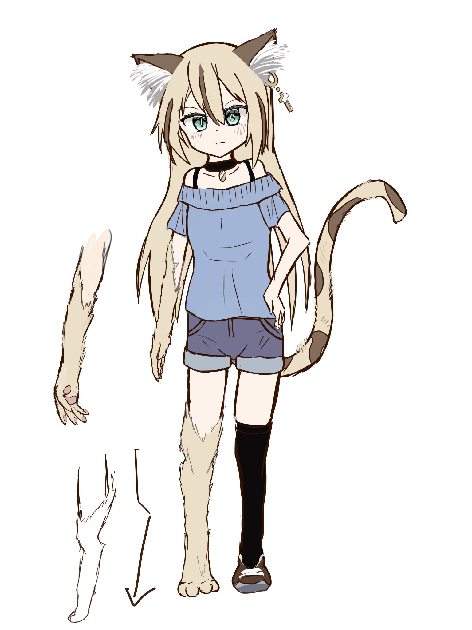 暖猫 on X: 