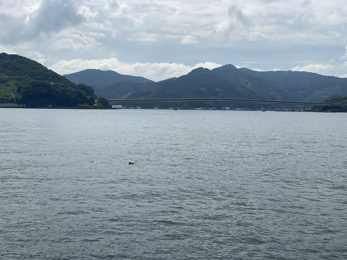 bugiugi555's tweet photo. 今日の宇和島の海です

お母さん毎回、画像ありがとね😊 https://t.co/l7l3vH8VSw