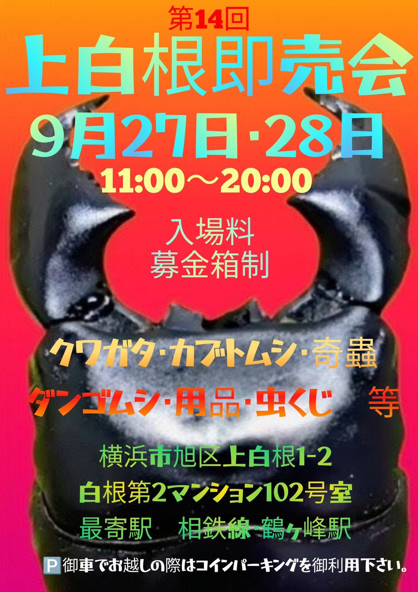 bug_forest's tweet image. 上白根即売会、タランドゥスも7ペアだけですが連れてきています🤩

今回もお買い得価格で並べていますので、是非いかがでしょうか👍