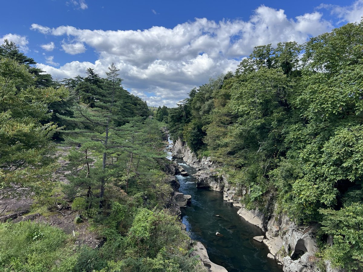 🌵🌵🌵 (@iso_0702) on Twitter photo 