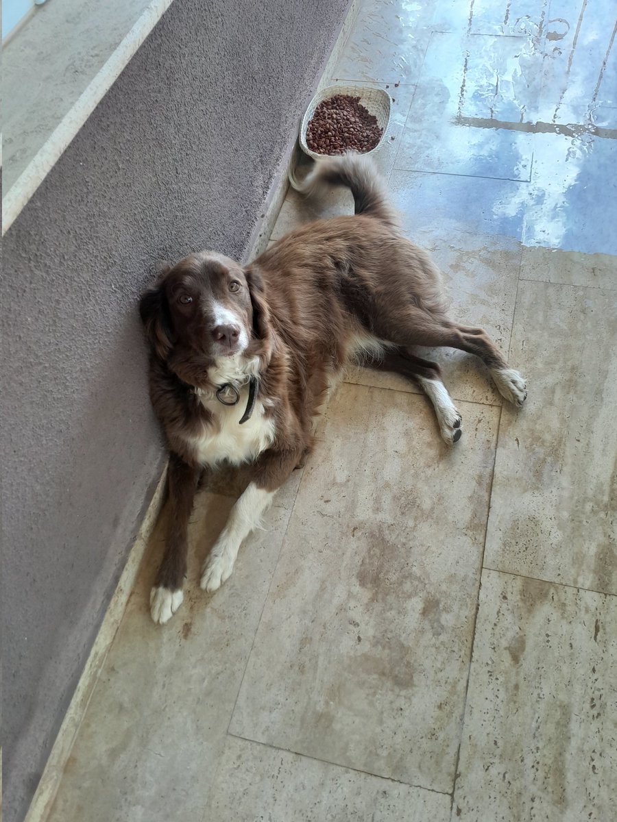 Her zamann ki  yerinde sabah karşılaması
