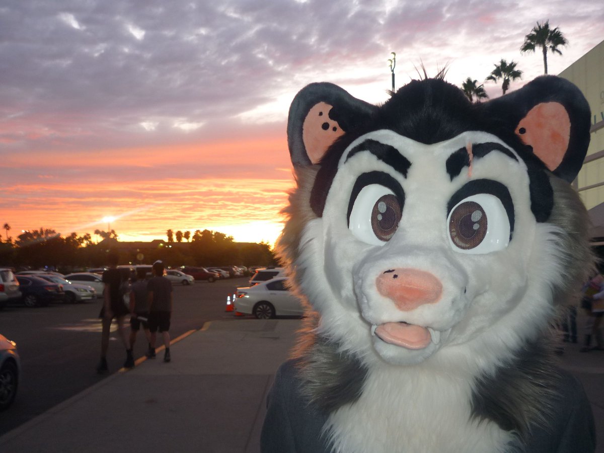 Jerry Opossum tweet media
