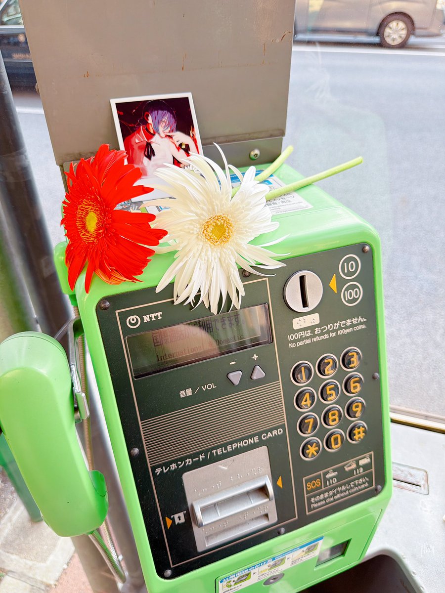 2本のガーベラと一緒に レゼ篇の聖地巡礼してきた🌼🌼 カフェ二道に