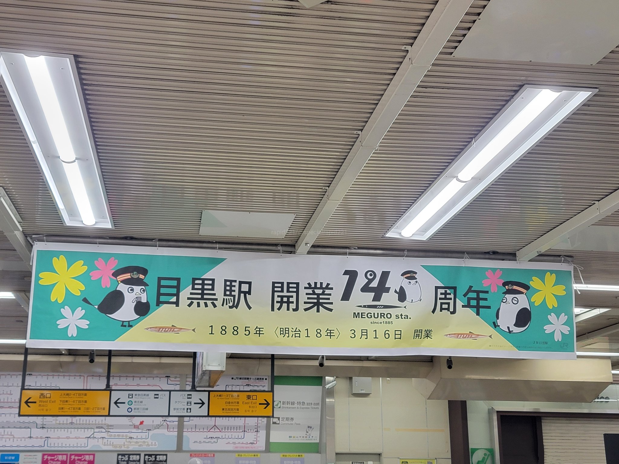 栃木路快速 on X: 