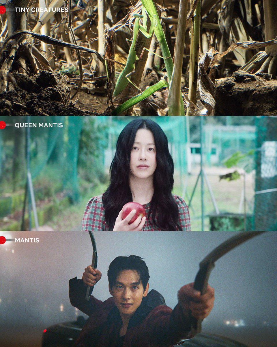 Netflix_PH's tweet photo. a comprehensive guide to the mantis universe

#TinyCreatures #PrayingMantis #QueenMantis #KoHyunJung #고현정 #Mantis #YimSiwan #임시완 https://t.co/e85gZnnRPK