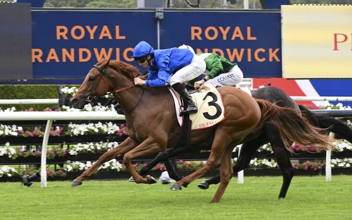 Black Type Racing tweet media