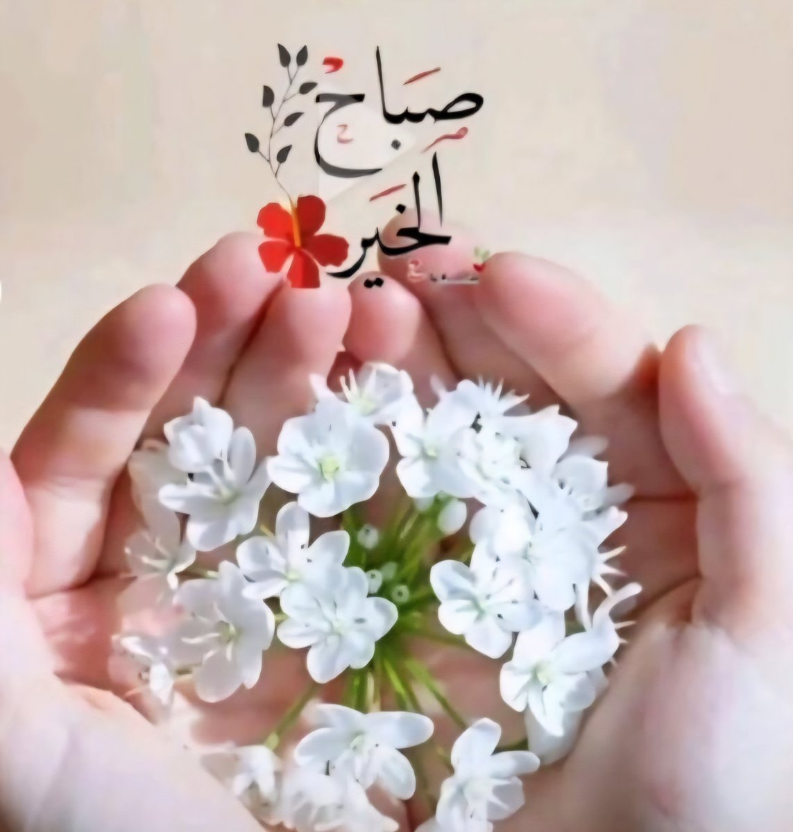 السلام عليكم🌹🍃

صبر نا کرنے والے ہمیشہ بے چینی میں مبتلا رہتے ہیں اور جو صبر کر لیتے ہیں، اللہ انہیں اپنی چاہت میں سکون دے دیتا ہے ۔ تو پھر کیوں ظلم کر رہے ہو خود پر؟ اللہ پاک کی چاہت کو اول رکھو گے تو وہ تمہارا ہر اختتام پر سکون بنا دے گا۔بیشک!!

Good Morning X Mates ❤️