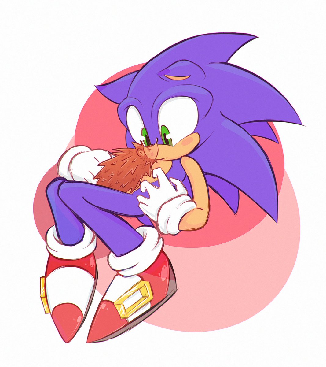 Sonic and the hedgehog