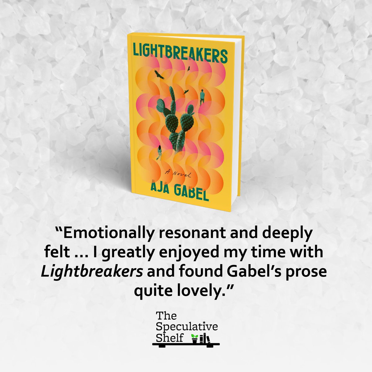 Review: Lightbreakers (November 2025) by Aja Gabel (<a href="/AjaMaybe/">Aja Gabel</a>) via <a href="/riverheadbooks/">Riverhead Books</a> 🌵 "Emotionally resonant and deeply felt ... I greatly enjoyed my time with Lightbreakers and found Gabel's prose quite lovely." 🧂 speculativeshelf.com/2025/09/26/rev…