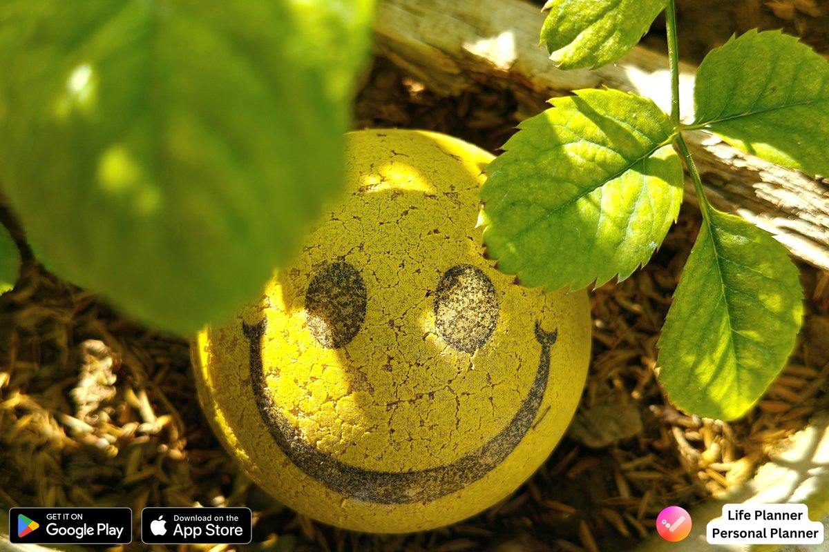 LifePlanner_co's tweet image. Track your mood daily with Life Planner. Log how you’re feeling in the morning, like “Content,” and add notes to reflect on the day.
Download now: App Store: apple.co/3OZvxAt | Google Play Store: play.google.com/store/apps/det… #MoodLogging #DailyReflection