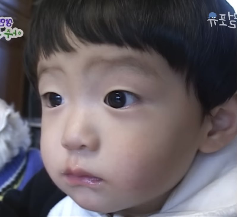 이거 하고 싶어요? tweet media