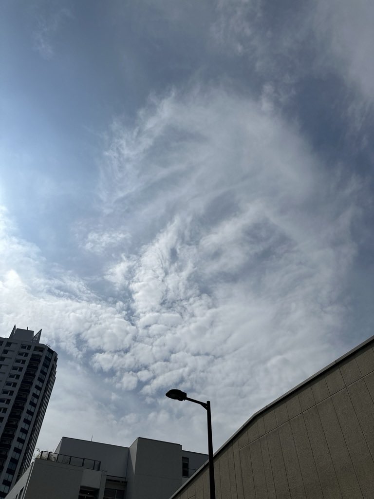 巻き雲 巻雲 - Search / X