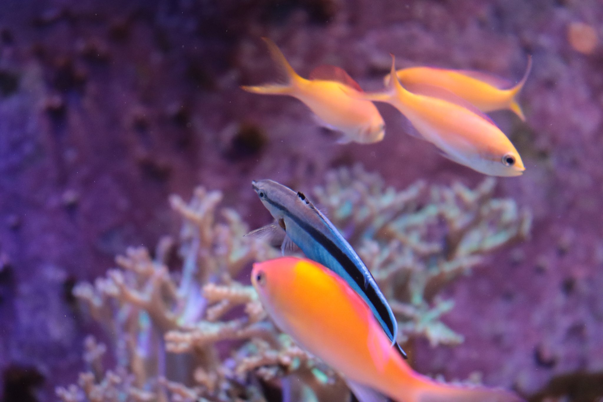 隠れパワースポット - Search / X