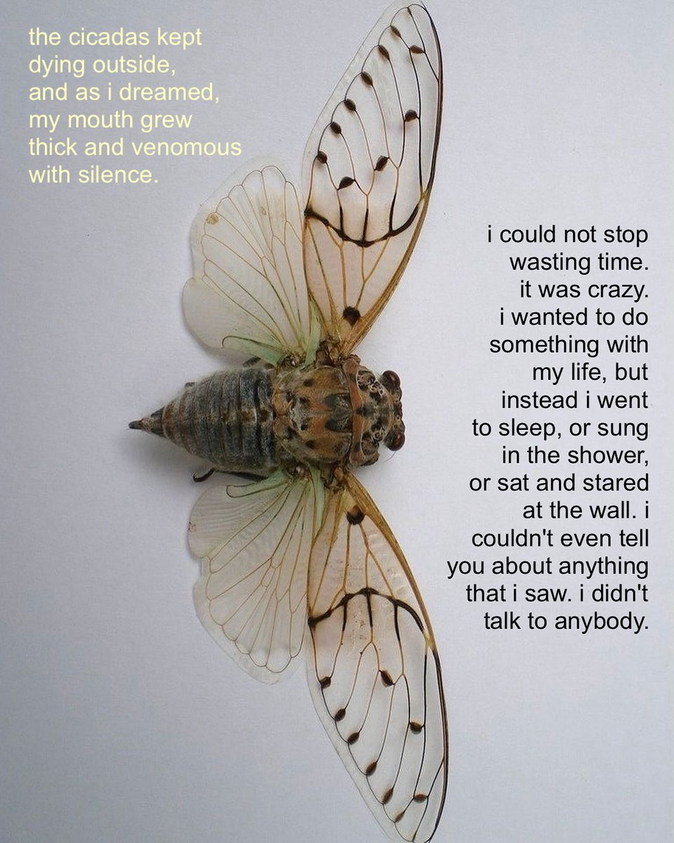 fatalplants's tweet image. yiwei chai