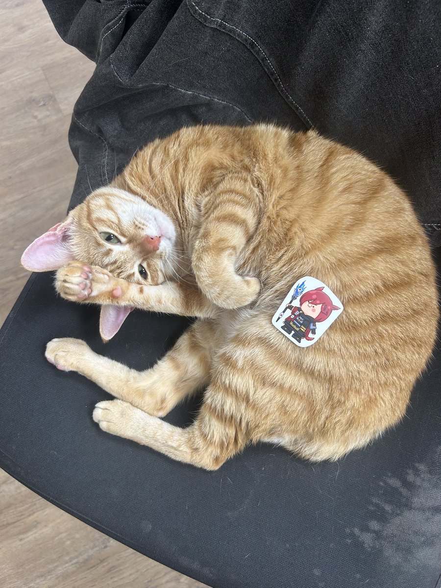 Jima (@arikjhungid) on Twitter photo 