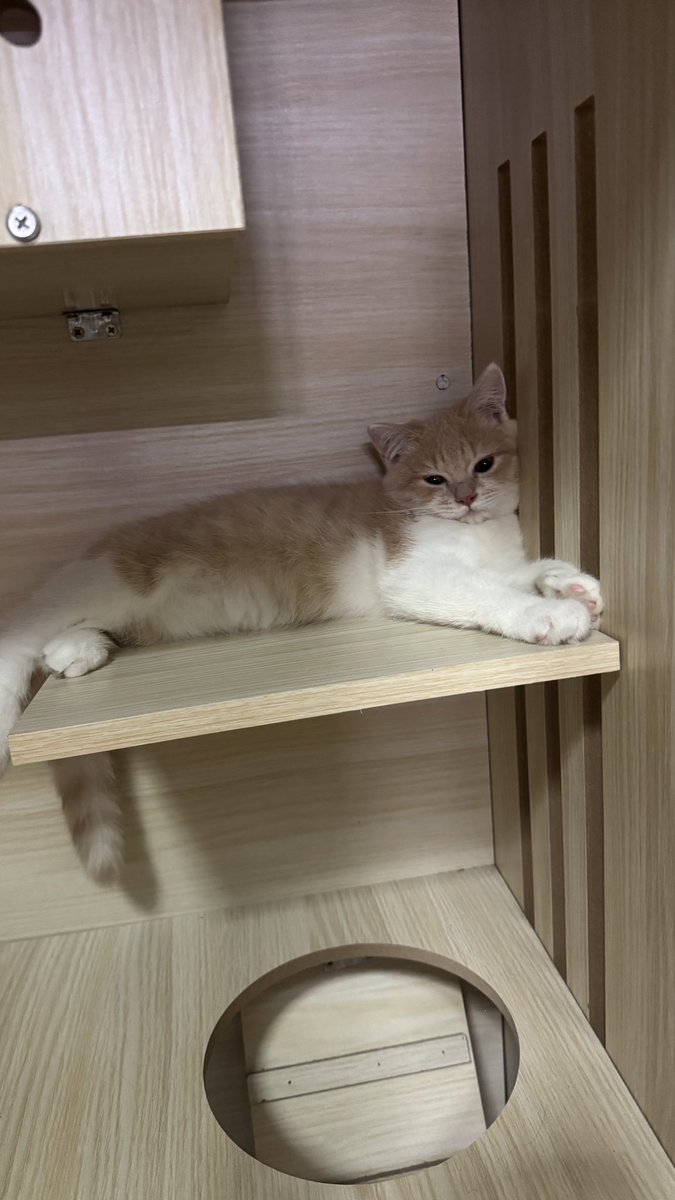 ง่วงง 💤