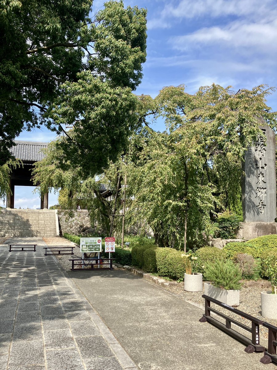 明日はライブなので先祖の墓を参ってきました