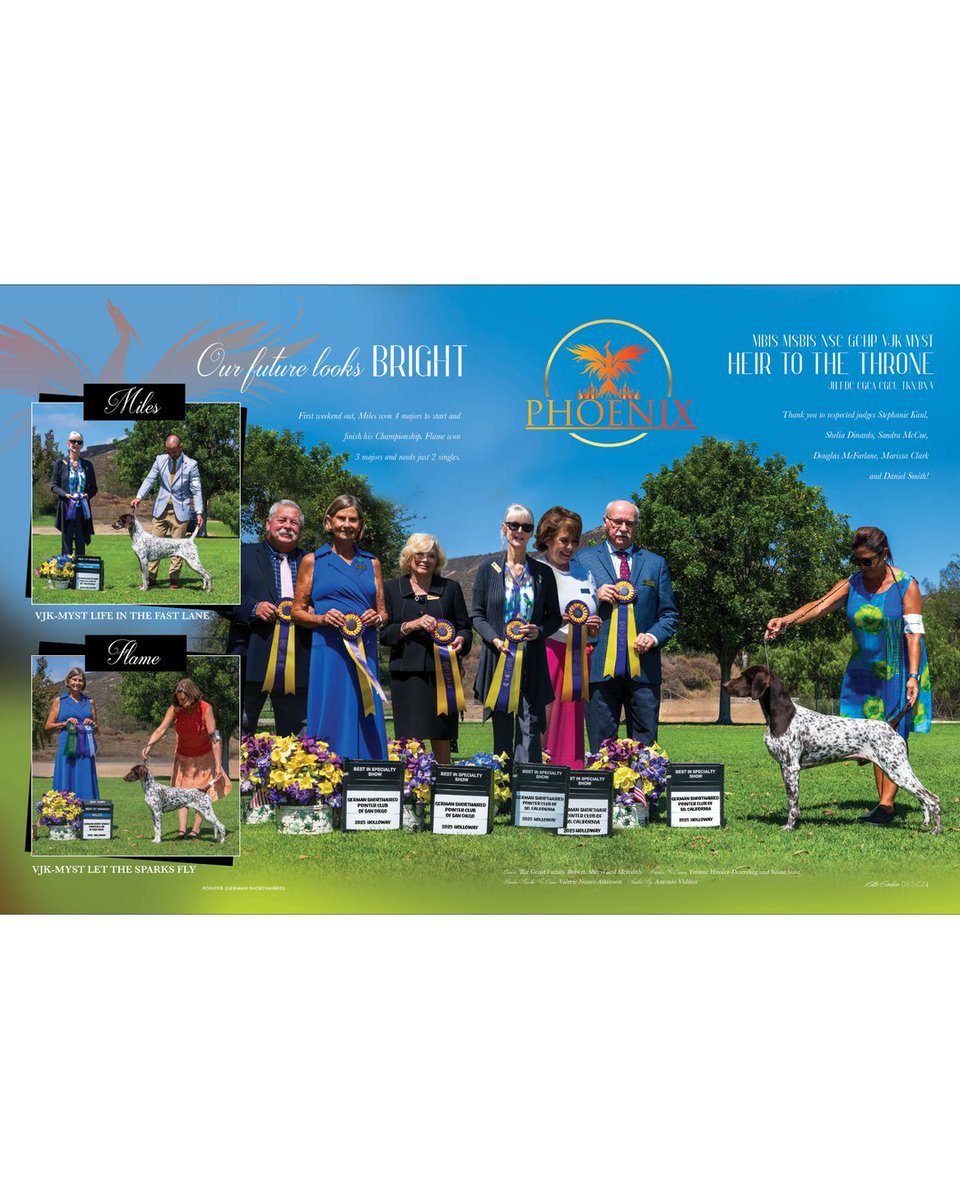 Showsight's tweet image. MBIS MSBIS NSC GCHP VJK MYST HEIR TO THE THRONE JH FDC CGCA CGCU TKN BN V

Hello, Phoenix💙

The Grant Family, Robert, Stacy and Meredith
Handlers: Yvonne Hassler-Deterding and Susan Stitz

showsightmagazine.com/dog-breeds/ger…

#germanshorthairedpointer #purebred #dogshow #showsightmag