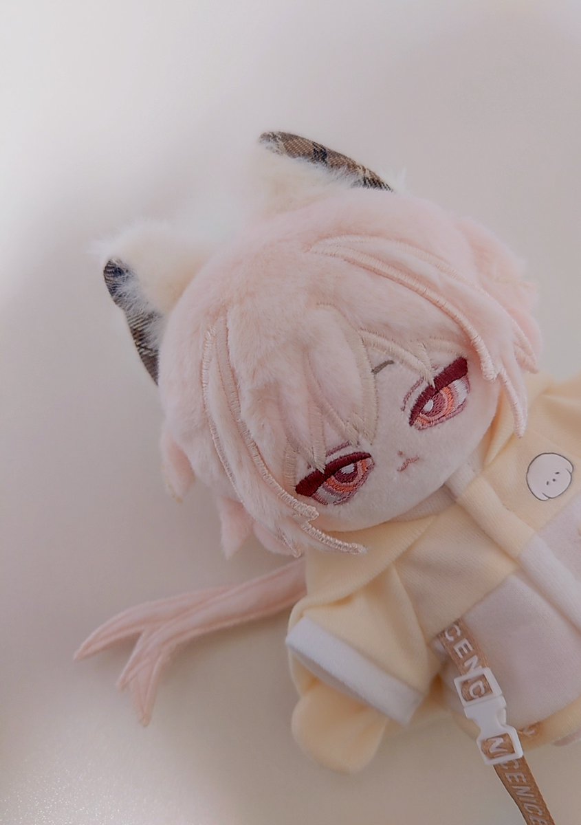 いくら君お迎え💓