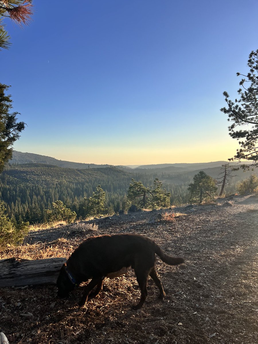 View right now…