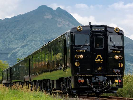 大阪発追加設定！
【福岡発･大阪発】＃観光列車 ツアー🚃
＼ 10月18日(土)出発限定 ／
#JR九州 #特急かんぱちいちろく 貸切運行

秋色の真っ赤な絨毯コキアと御鎮座1300年の #宇佐神宮 #鉄道旅 2日間

📷 詳細・申込はこちら⇩ 
yoyaku.nishitetsutravel.jp/TourList.aspx?…