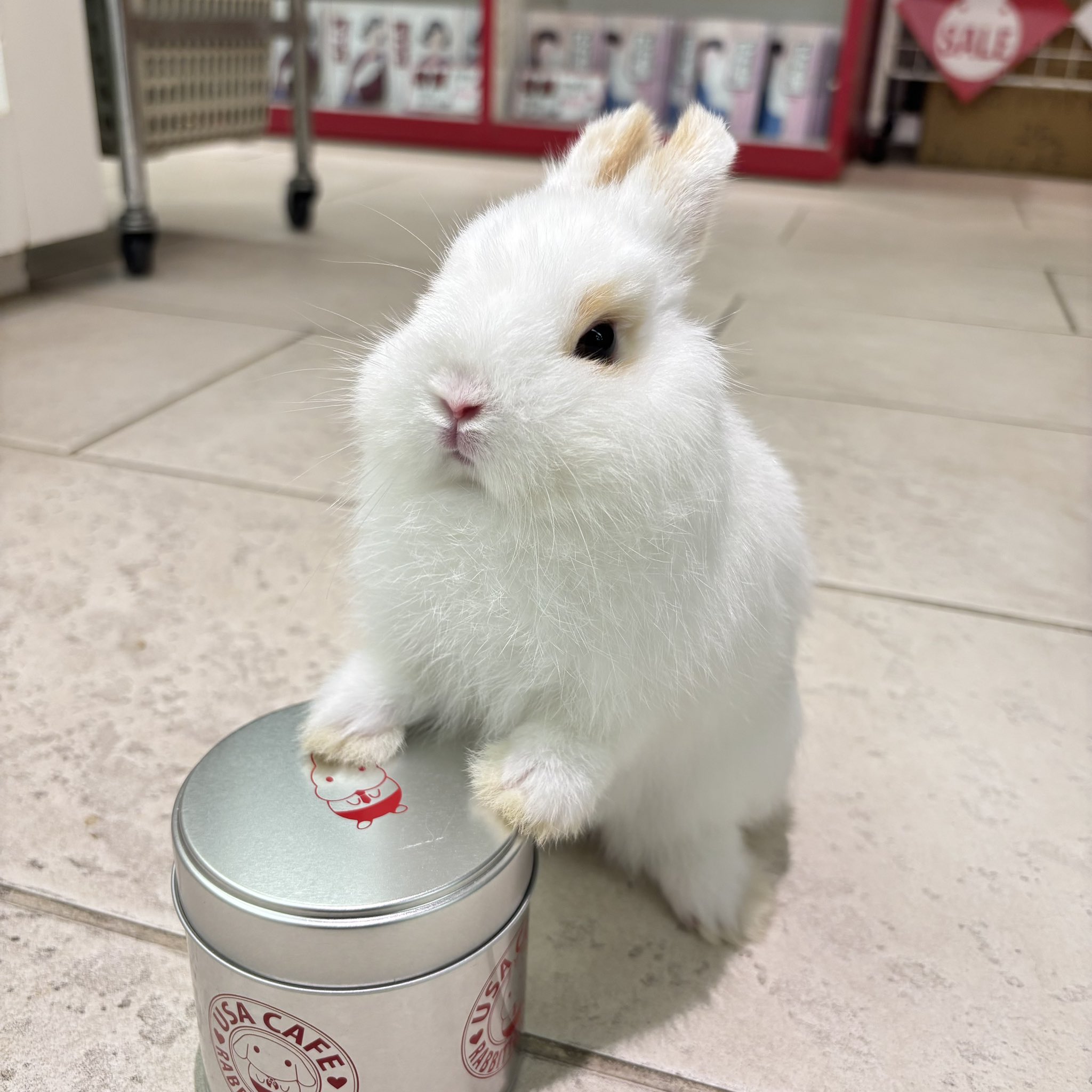 ZEROZERO weep みっちゃんさん専用 ZEROZERO weep みっちゃんさん専用 ZEROZERO weep みっちゃん