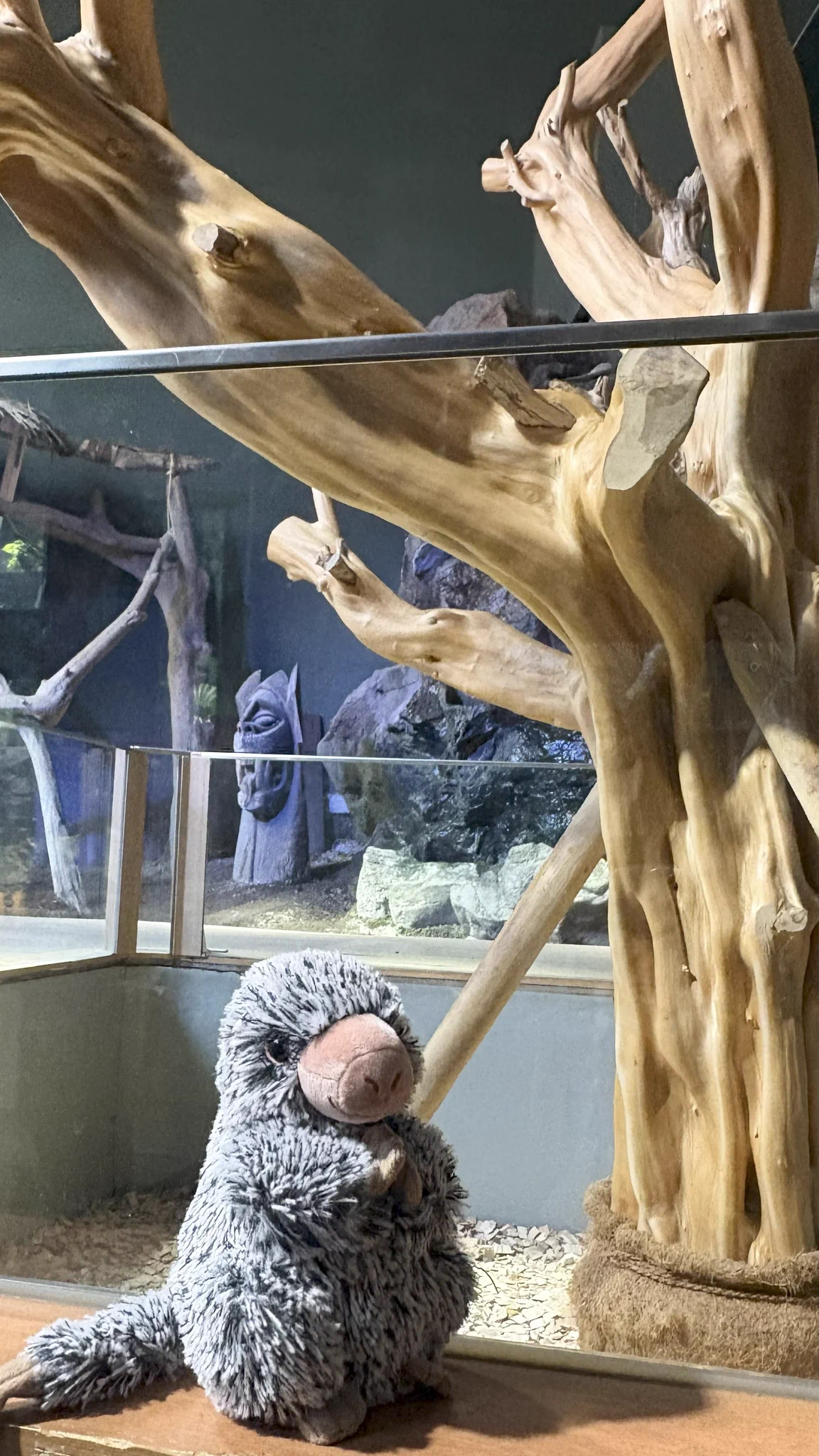 カワスイ 川崎水族館 on X: 