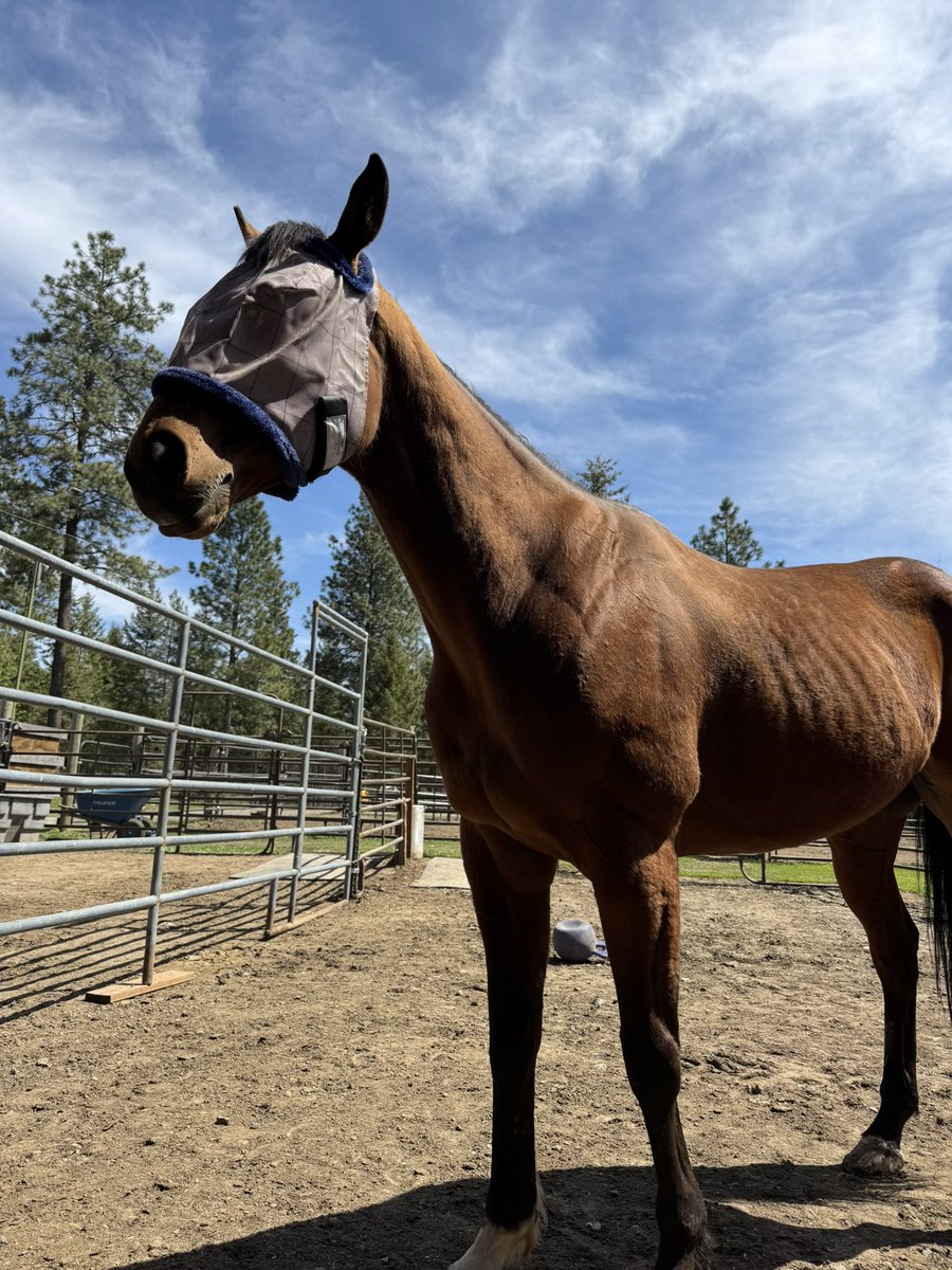 Sara 🌺 tweet media